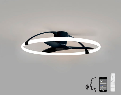 Sandi LED Ceiling Fan - Exclusive Lighting Ltd