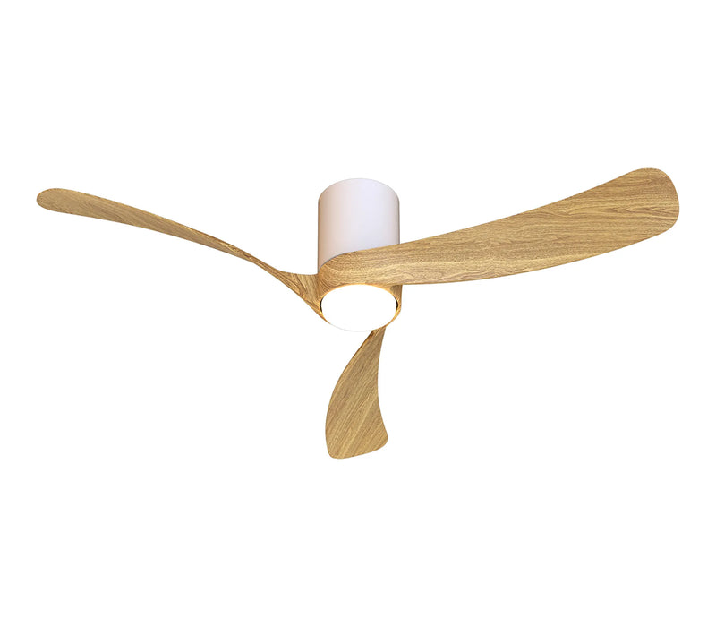 Miami Ceiling Light & Fan (Multiple Sizes)