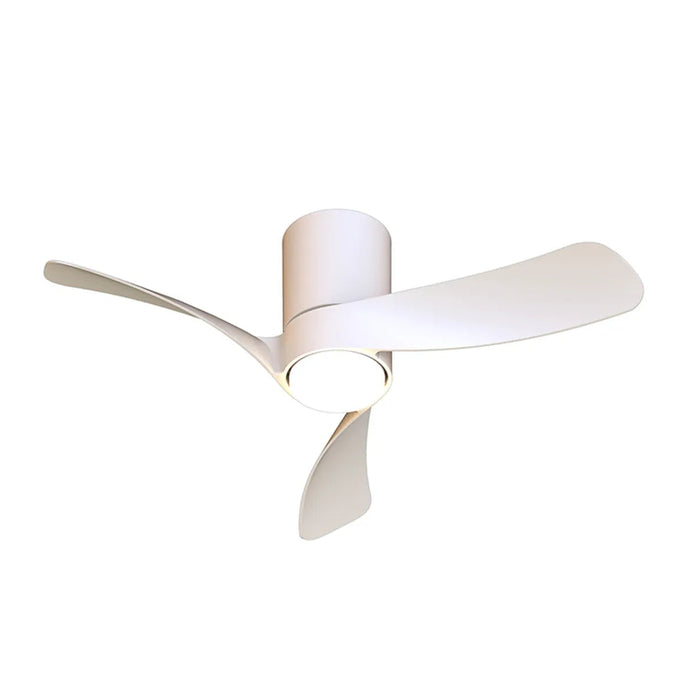 Miami Ceiling Light & Fan (Multiple Sizes)
