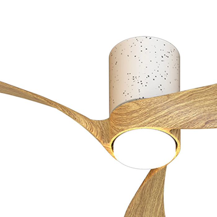 Miami Ceiling Light & Fan (Multiple Sizes)