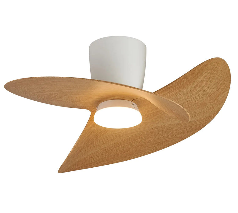 Boca LED Ceiling Fan & Light