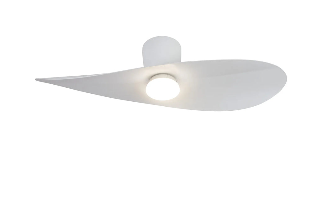 Surf LED Ceiling Fan & Light