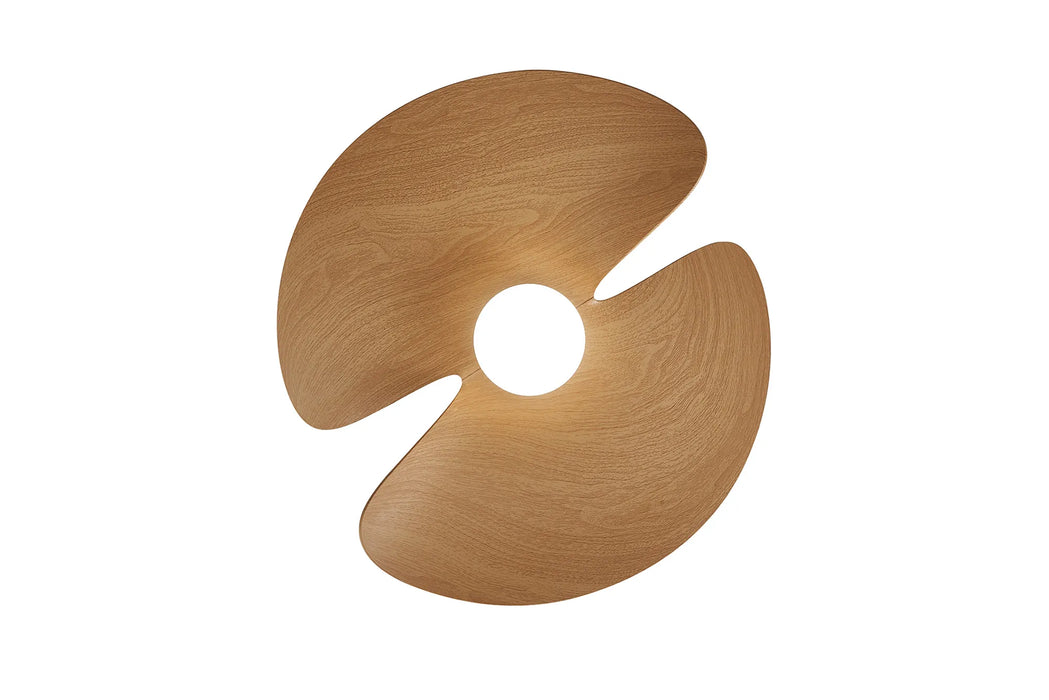 Boca LED Ceiling Fan & Light