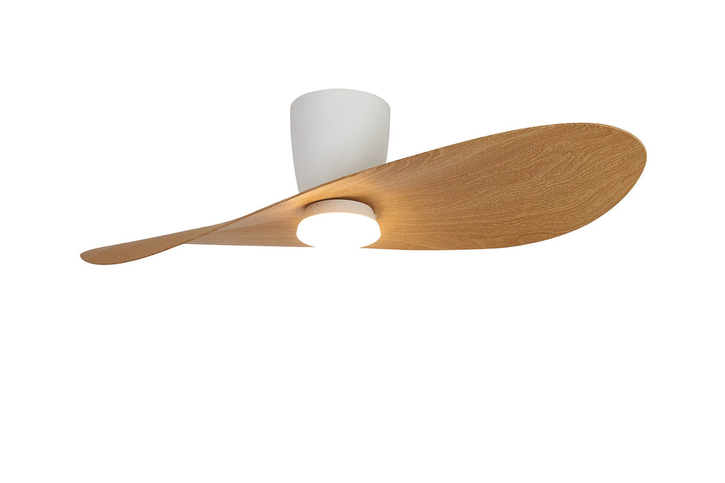 Surf LED Ceiling Fan & Light