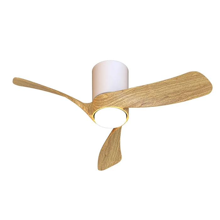 Miami Ceiling Light & Fan (Multiple Sizes)