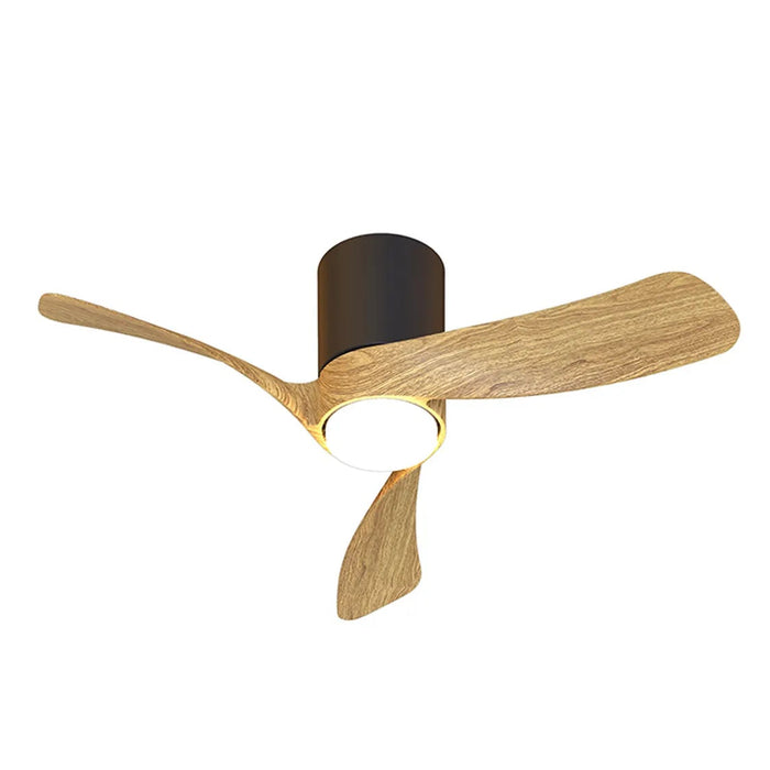 Miami Ceiling Light & Fan (Multiple Sizes)