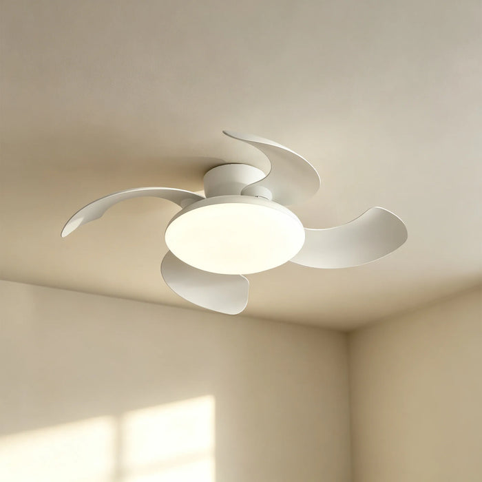Guava LED Ceiling Fan & Light