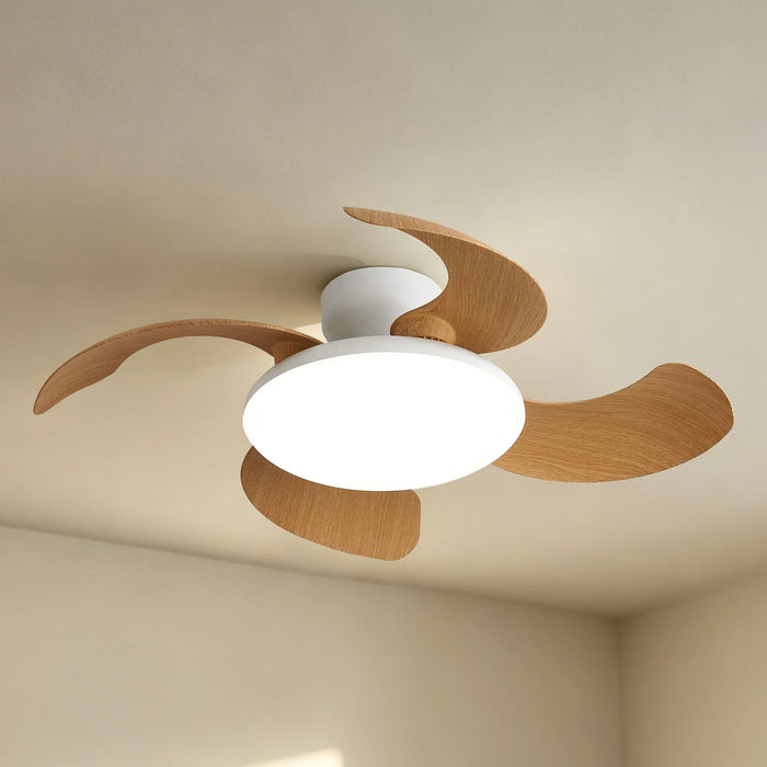 Guava LED Ceiling Fan & Light