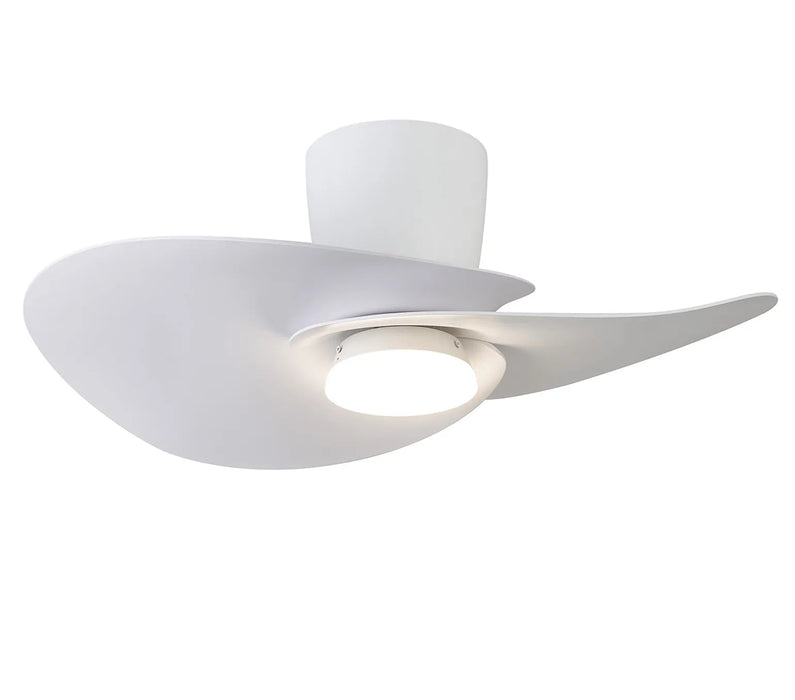 Hawaii LED Ceiling Fan & Light