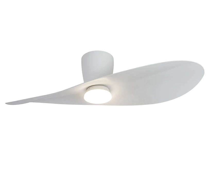 Surf LED Ceiling Fan & Light