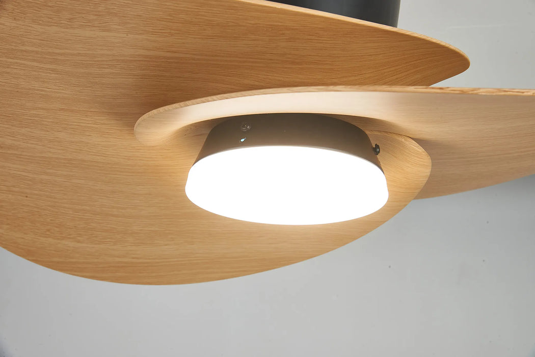 Hawaii LED Ceiling Fan & Light