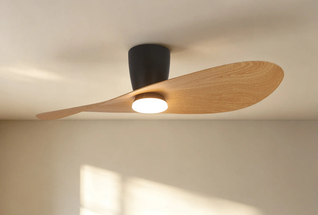 Surf LED Ceiling Fan & Light