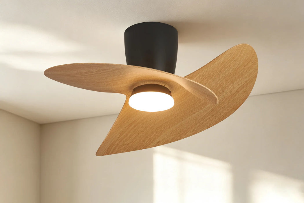 Boca LED Ceiling Fan & Light