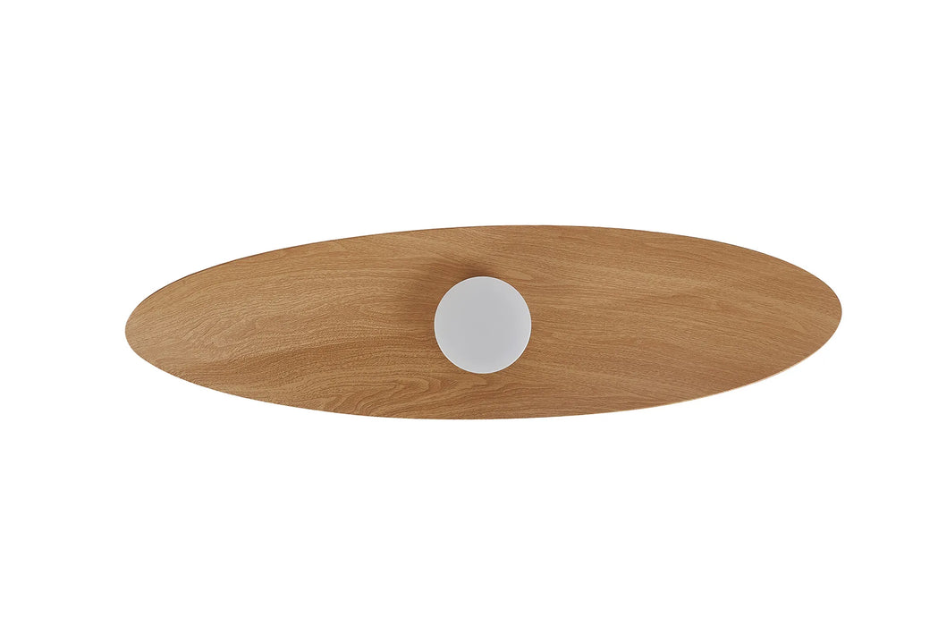Surf LED Ceiling Fan & Light