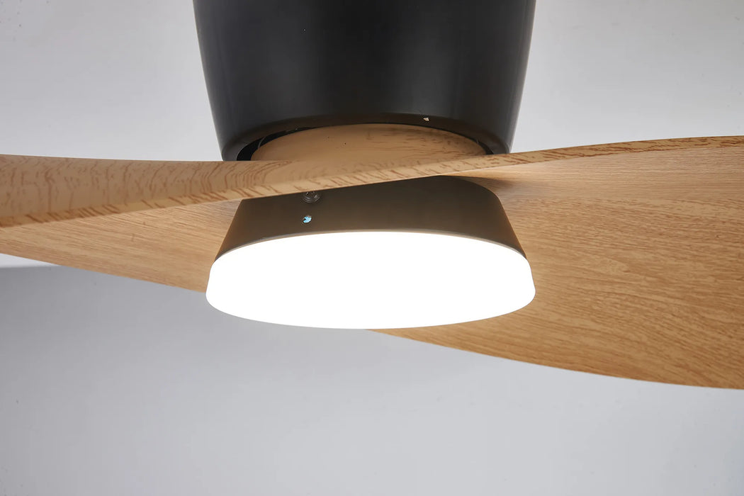 Surf LED Ceiling Fan & Light