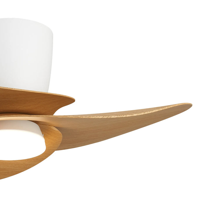 Hawaii LED Ceiling Fan & Light