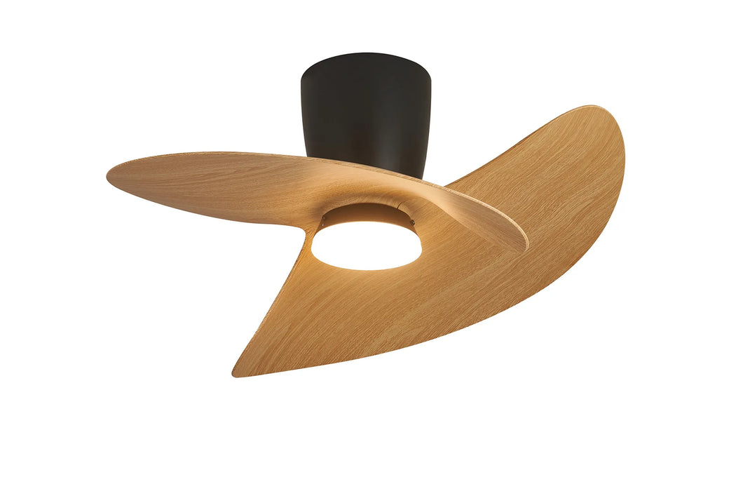 Boca LED Ceiling Fan & Light