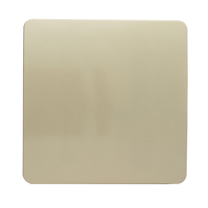 Single Blanking Plate