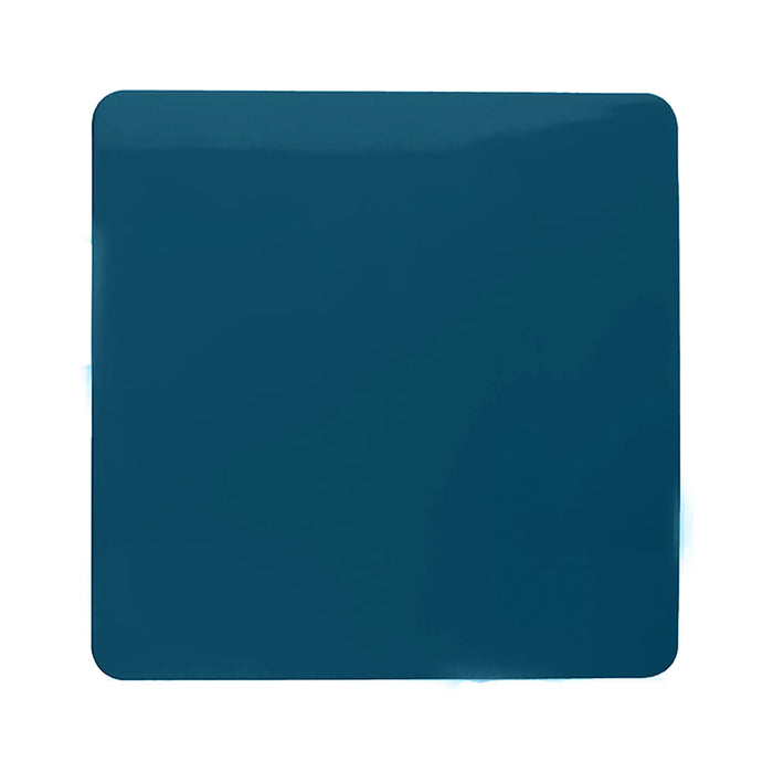 Single Blanking Plate