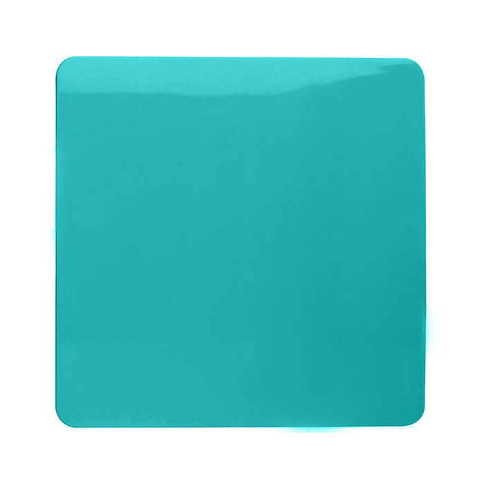 Single Blanking Plate