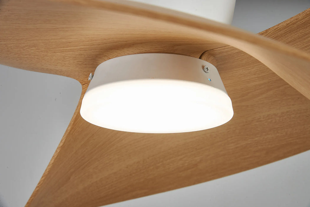 Boca LED Ceiling Fan & Light