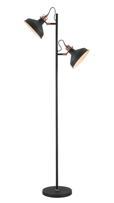 Cabus Double Floor Lamp - Exclusive Lighting Ltd