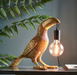 Toucan Table Light - Exclusive Lighting Ltd