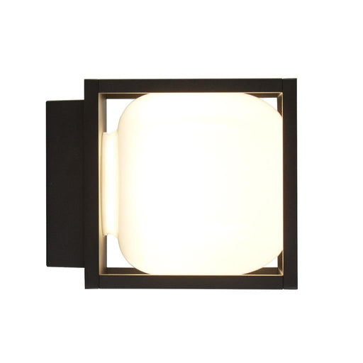 Acadia Wall Light / Flush - Exclusive Lighting Ltd
