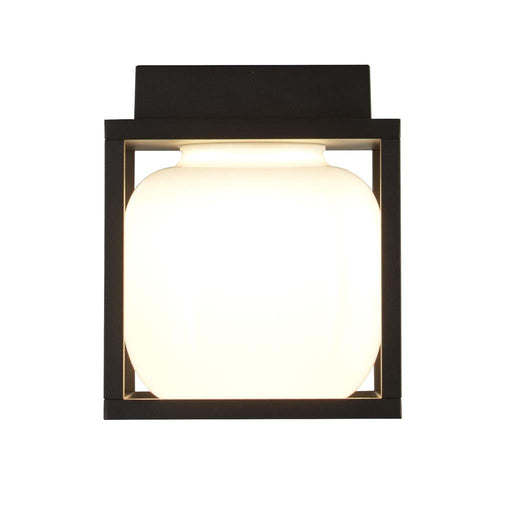 Acadia Wall Light / Flush - Exclusive Lighting Ltd