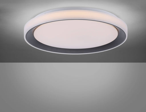 Leonard LED Flush - Exclusive Lighting Ltd